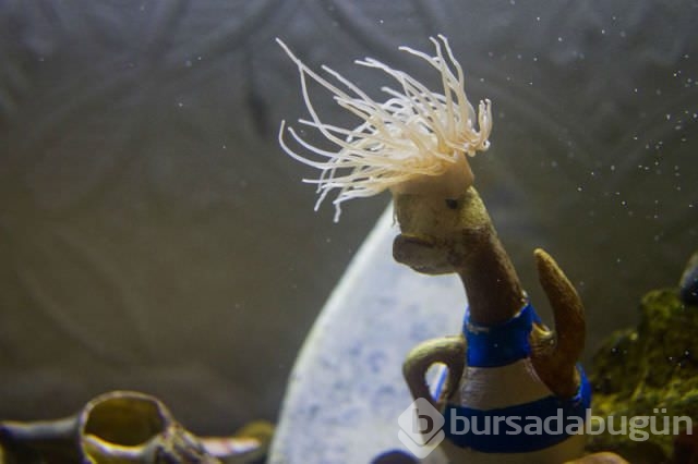 Dünyadan ilginç fotoğraflar