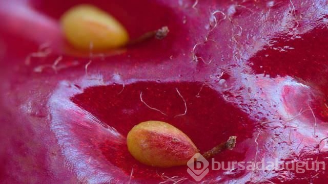 Dünyadan ilginç fotoğraflar