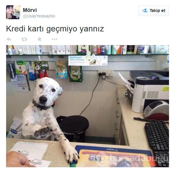 Sosyal medyanın komik akımları