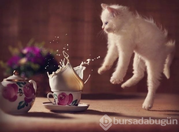 Bu kareler öyle anlarda yakalandı ki