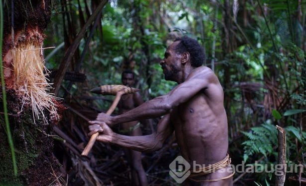 Bilinen son yamyam kabile