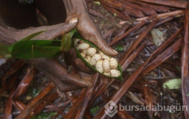 Bilinen son yamyam kabile