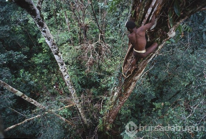 Bilinen son yamyam kabile