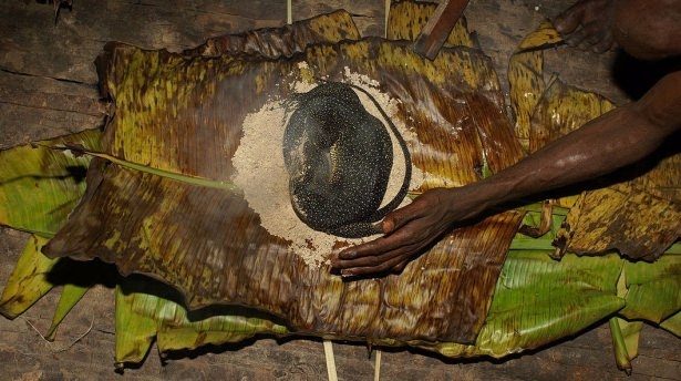 Bilinen son yamyam kabile