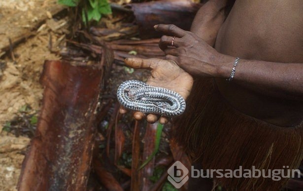 Bilinen son yamyam kabile