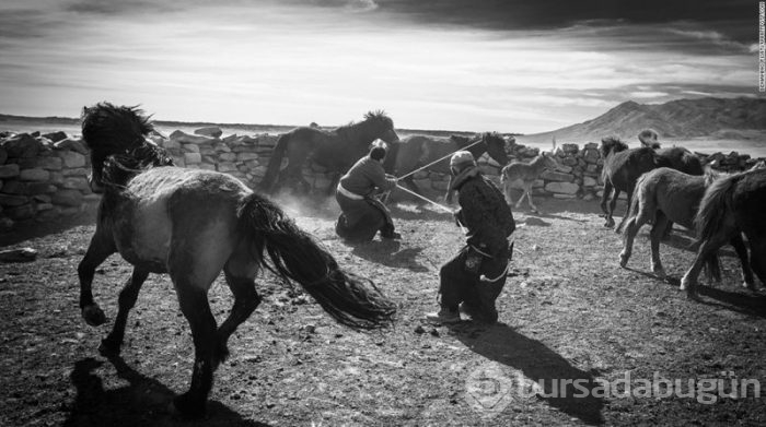 Yılın seyahat fotoğrafları