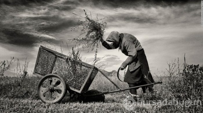 Yılın seyahat fotoğrafları