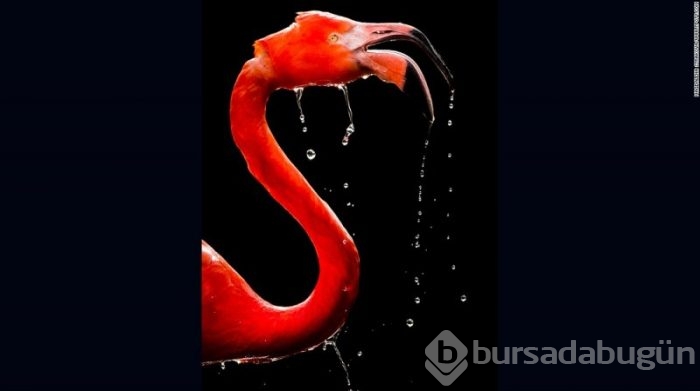 Yılın seyahat fotoğrafları