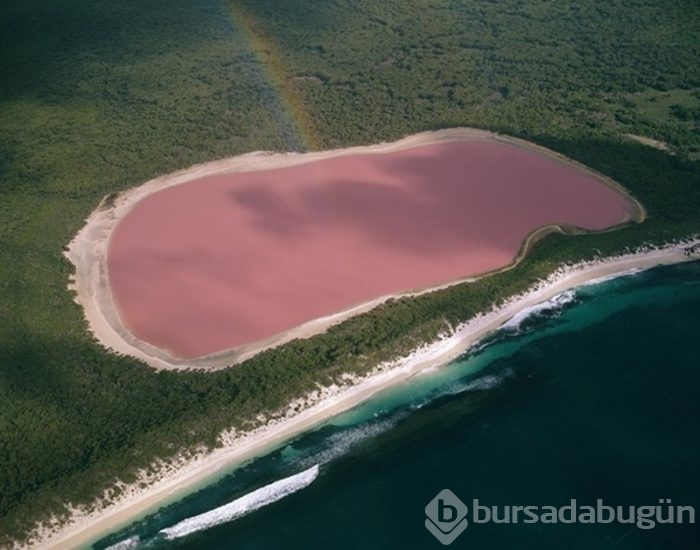 Dünyayı şaşkına çeviren fotoğraflar
