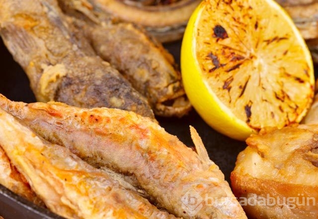 19 Aralık günün menüsü (Balık sofrası)