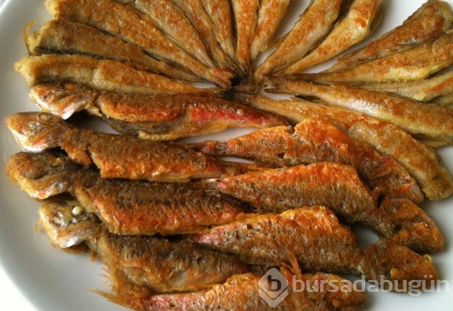 19 Aralık günün menüsü (Balık sofrası)