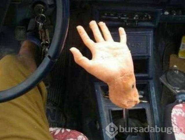 Günün en çok paylaşılan fotoğrafları