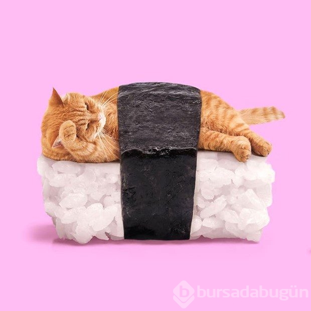 Gerçeküstü popart fotoğraflar
