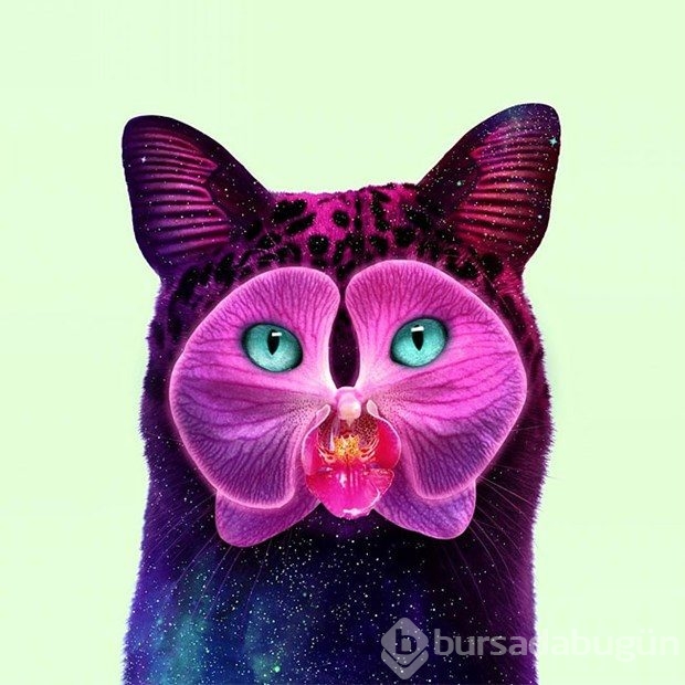Gerçeküstü popart fotoğraflar