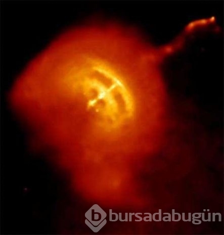 İlk kez duyacağınız bilimsel gerçekler