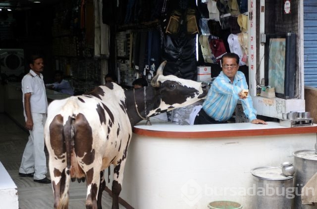 Burada her şey gerçek!
