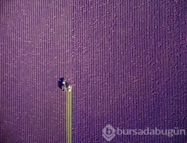 2016 yılın en iyi drone fotoğrafları