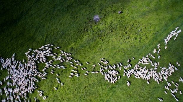2016 yılın en iyi drone fotoğrafları