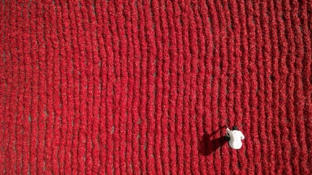 2016 yılın en iyi drone fotoğrafları
