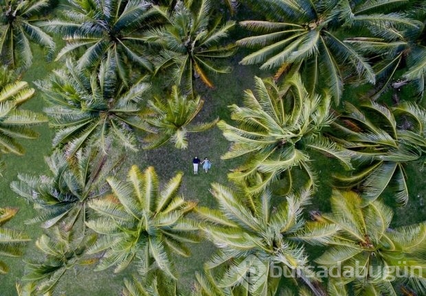 2016 yılın en iyi drone fotoğrafları