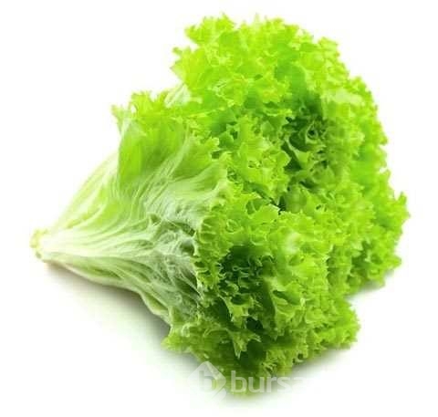 1 kere alıp ömür boyu kullanabileceğiniz sebzeler