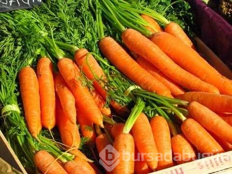 1 kere alıp ömür boyu kullanabileceğiniz sebzeler