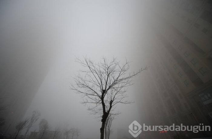 Reuters objektiflerinden dünyada 24 saat