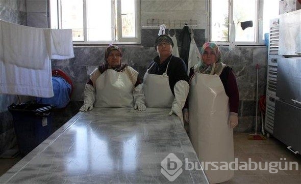 Mesleklerini duyan 2 adım geri gidiyor