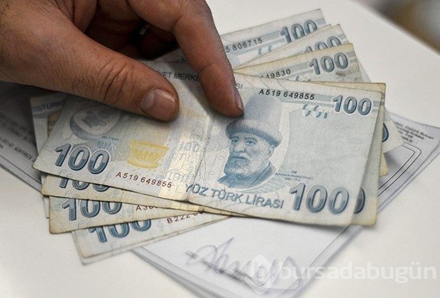 10 soruda otomatik bireysel emeklilik