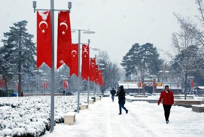 Türkiye'den kar manzaraları
