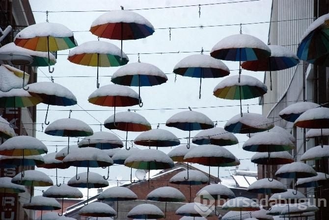 Türkiye'den kar manzaraları