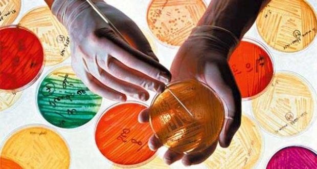 Süpermikroplar dakikada 20 kişiyi öldürebilir
