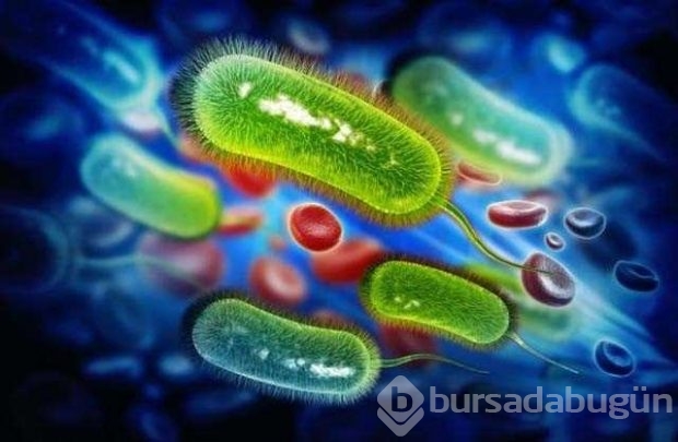 Süpermikroplar dakikada 20 kişiyi öldürebilir