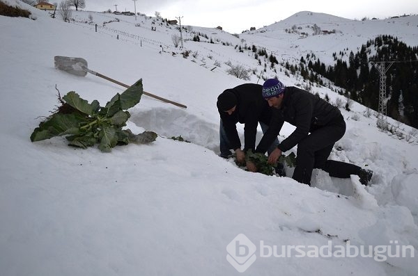 Sıkça kullanmamıza rağmen bambaşka anlamları olan kelimeler