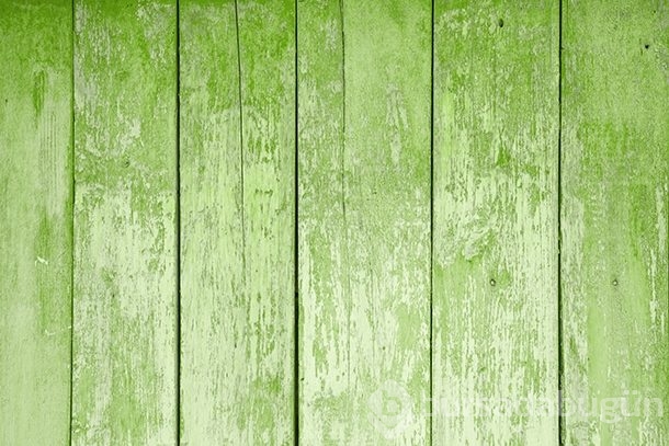 2017 yılının rengi 'Greenery'