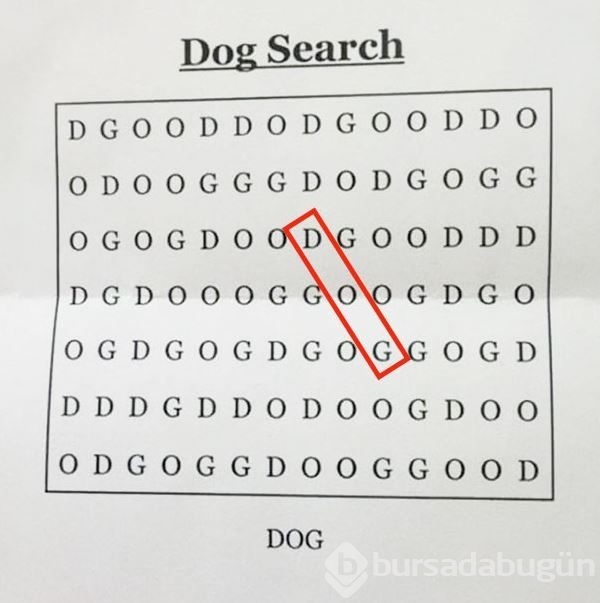 İşte sosyal medyanın yeni testi!