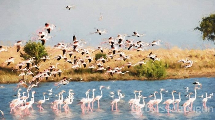 Edirne'de görmeniz gereken 14 doğa harikası