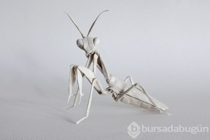 Kağıttan şaheser yaratma sanatı: Origami