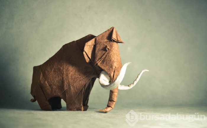 Kağıttan şaheser yaratma sanatı: Origami