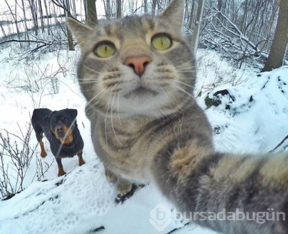 2016'ya damga vuran selfieler!