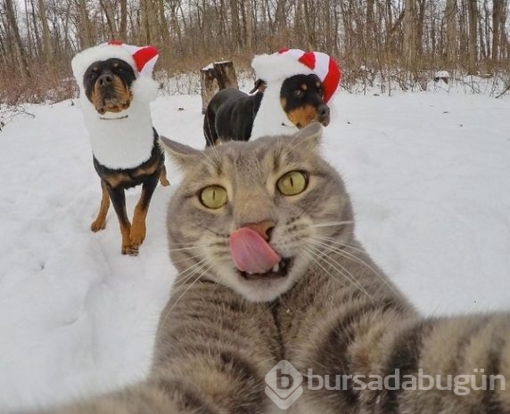 2016'ya damga vuran selfieler!