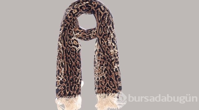Leoparlar şehre indi!