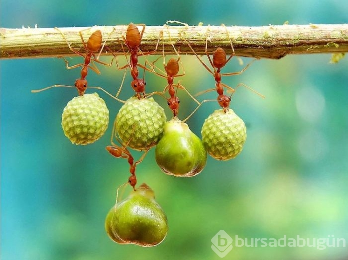 İçinizi ısıtacak muhteşem fotoğraflar