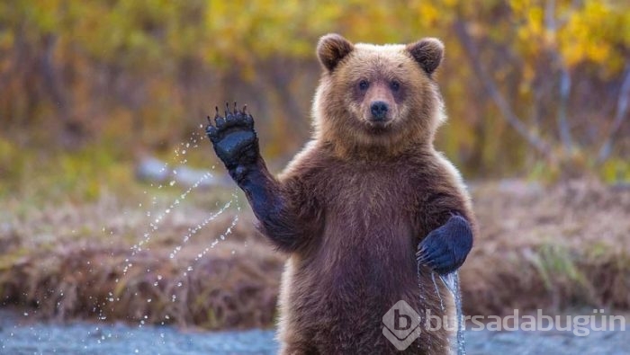 İçinizi ısıtacak muhteşem fotoğraflar