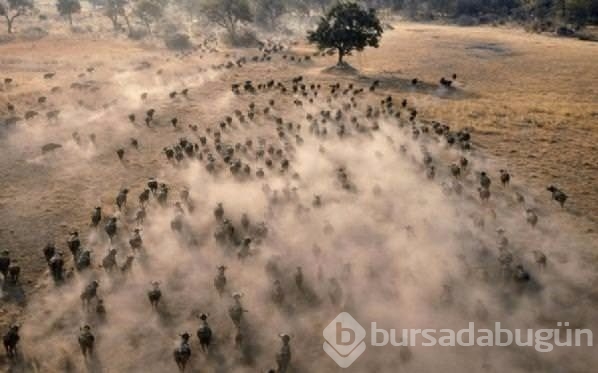 İçinizi ısıtacak muhteşem fotoğraflar