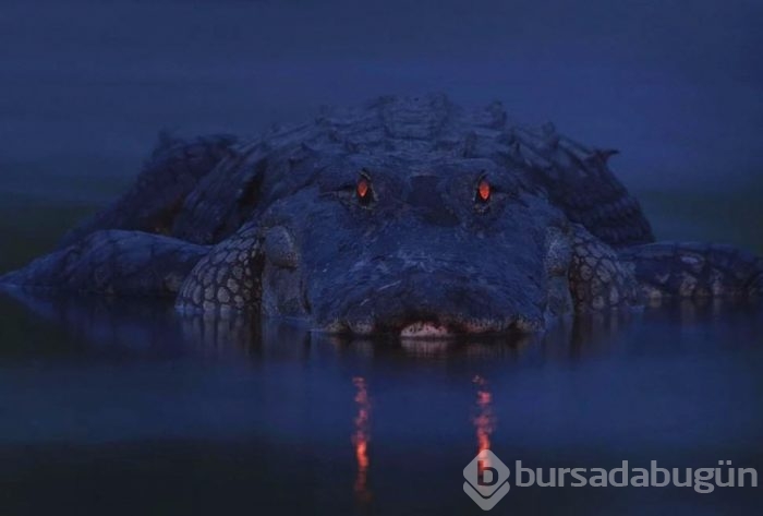 İçinizi ısıtacak muhteşem fotoğraflar