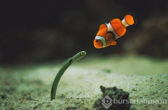 İçinizi ısıtacak muhteşem fotoğraflar