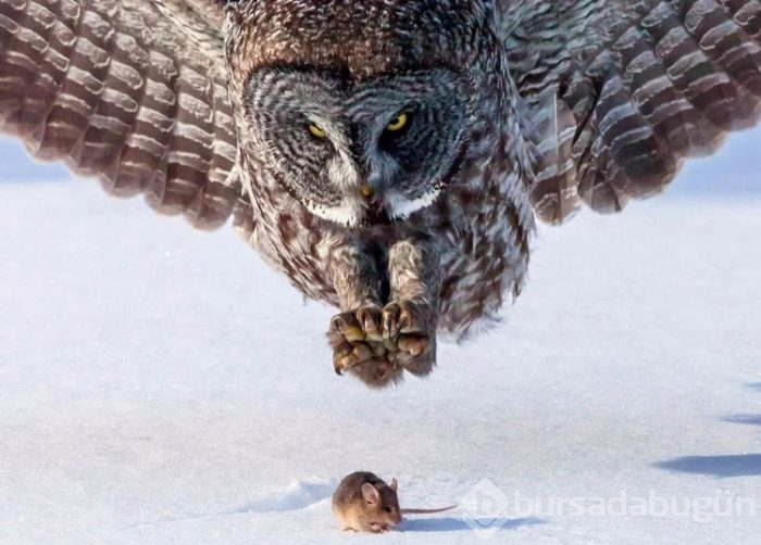İçinizi ısıtacak muhteşem fotoğraflar