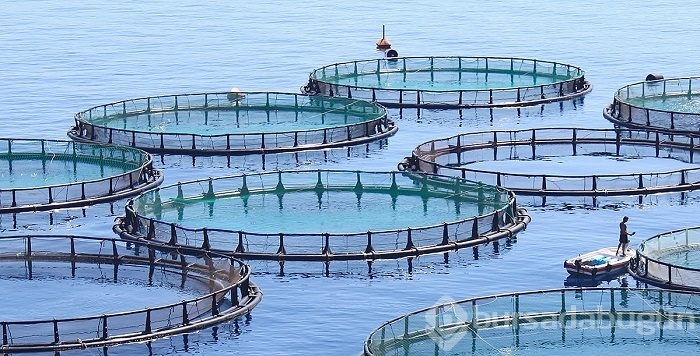 Kendi işinizi kurabileceğiniz 16 k&acirc;rlı fikir