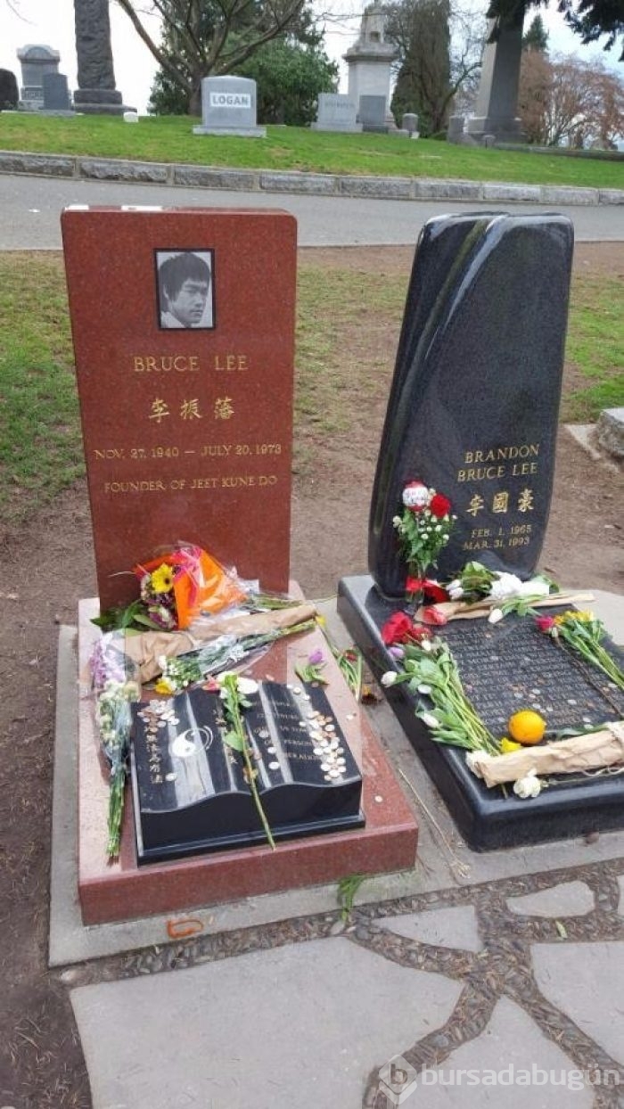 Dünyanın en ilginç bilgileri